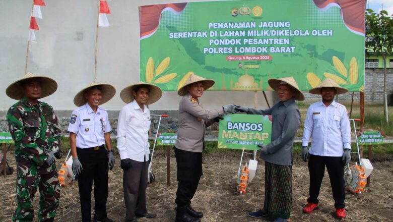 Polres Lombok Barat dan Ponpes Manbaul Ulum Tanam Jagung Serentak di Mesanggok