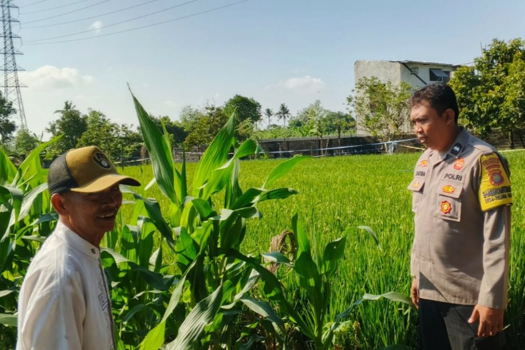 Bhabinkamtibmas Telagawaru Edukasi Petani Soal Lahan Pekarangan Bergizi