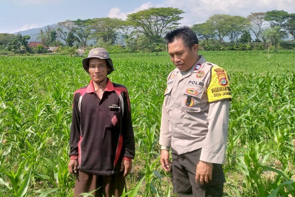 Sinergi Polisi dan Petani di Desa Jagaraga untuk Wujudkan Kemandirian Pangan