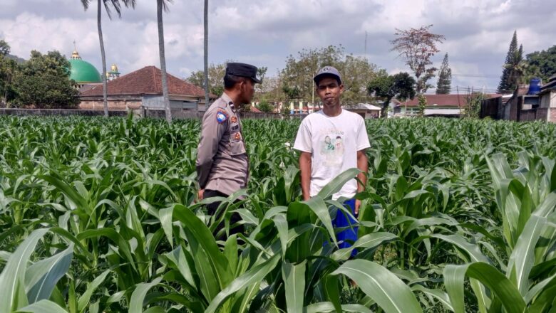 Sinergi Bhabinkamtibmas dan Kelompok Tani BERIUK TINJAL di Due Pelet untuk Ketahanan Pangan