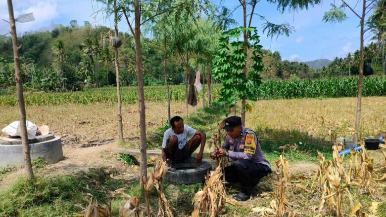 Polri Aktif Dampingi Petani Jagung di Dusun Jelateng Baru, Lombok Barat