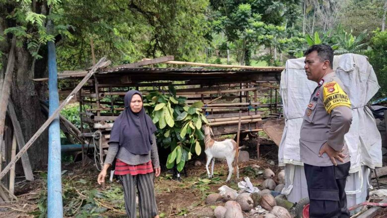 Sinergi Polisi dan Warga Senggigi: Lahan Kosong Jadi Sumber Pangan Mandiri