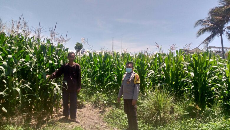 Sinergi Polisi dan Petani Jagaraga Perkuat Ketahanan Pangan Lokal