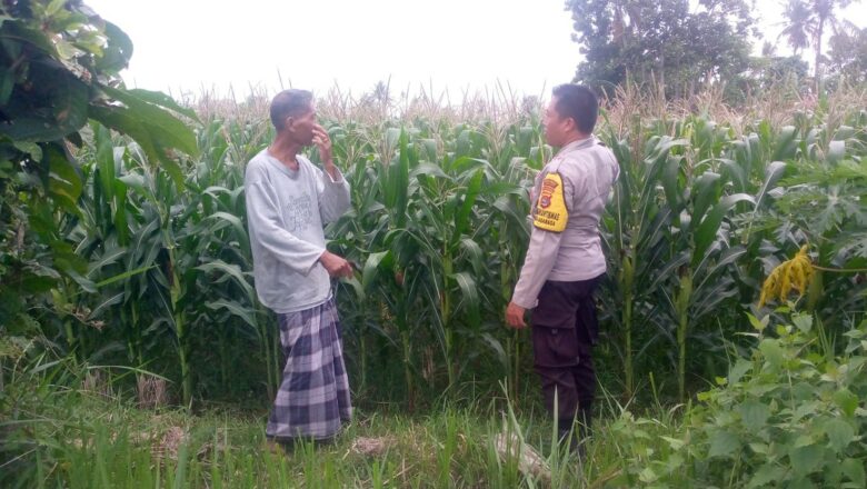 Polisi dan Petani Desa Jagaraga Bersinergi Wujudkan Ketahanan Pangan Lokal