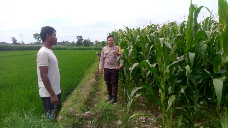 Polsek Kuripan Ajak Warga Dusun Adeng Lombok Barat Kembangkan Pekarangan Produktif