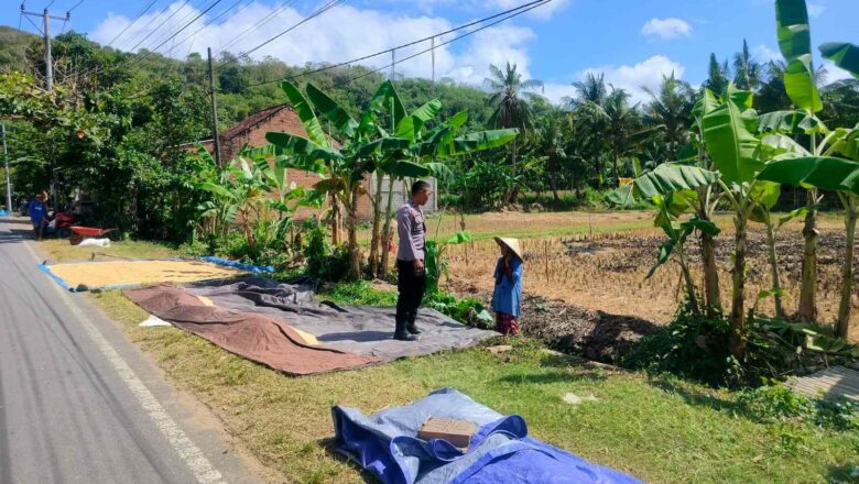 Sinergi Polisi dan Petani di Eyat Mayang, Lombok Barat untuk Pangan Nasional
