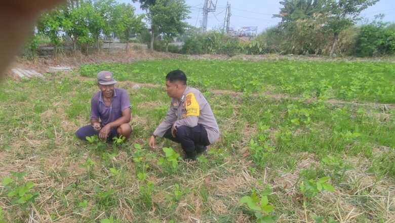 Dukung Ketahanan Pangan, Bripka Okto Malik Edukasi Warga Kuranji Lombok Barat