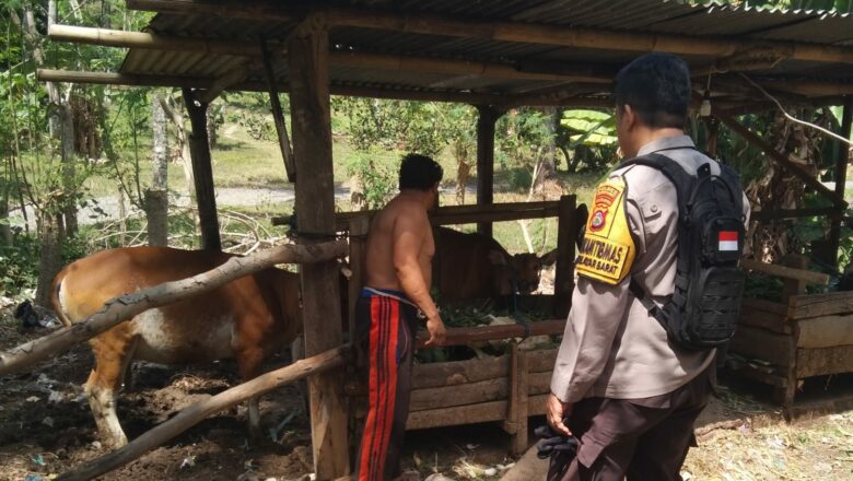 Sinergi Polsek Batulayar dan Warga Batulayar Barat Dukung Program Ketahanan Pangan
