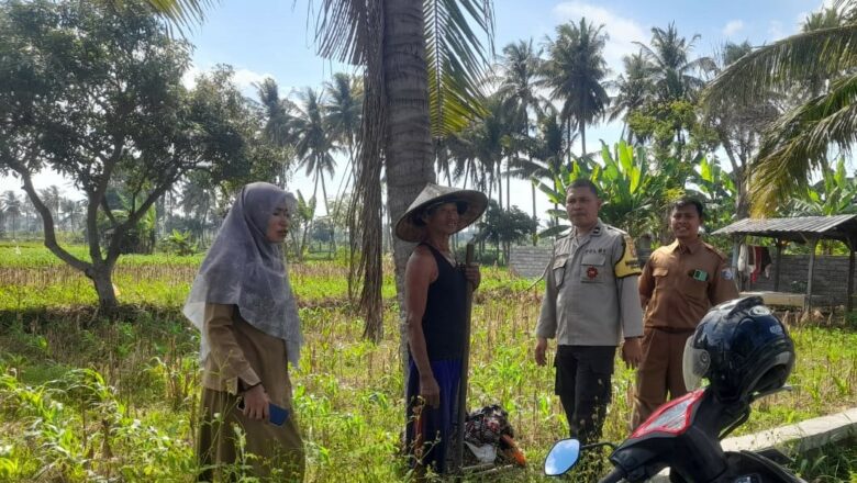 Sinergi Polisi dan PPL di Gelogor Kediri Perkuat Produksi Jagung untuk Ketahanan Pangan Daerah