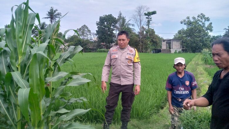 Dari Pekarangan Rumah, Warga Jagaraga Mulai Gerakan Ketahanan Pangan