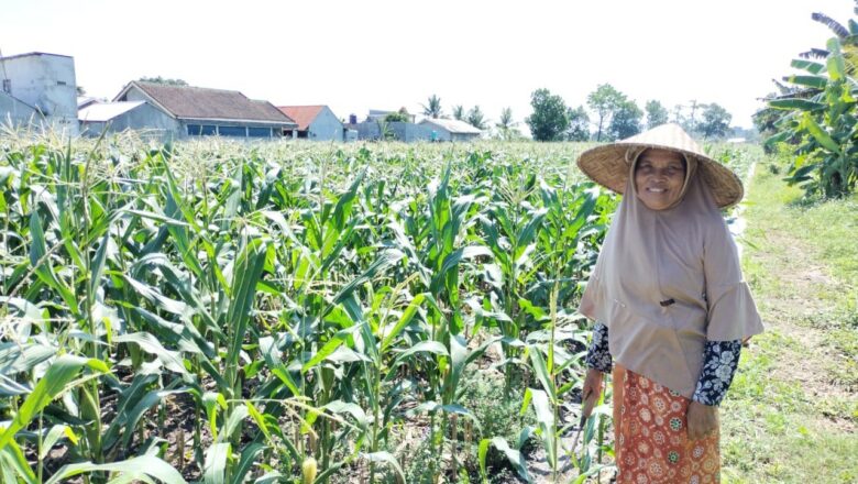 Sinergi Polri dan Petani di Desa Labuapi untuk Perkuat Ketahanan Pangan Nasional