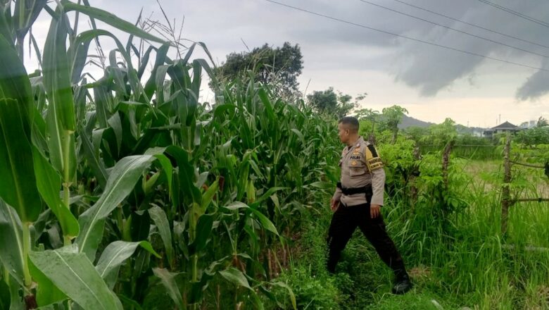 Polri Dukung Ketahanan Pangan Lewat Edukasi Petani di Desa Terong Tawah
