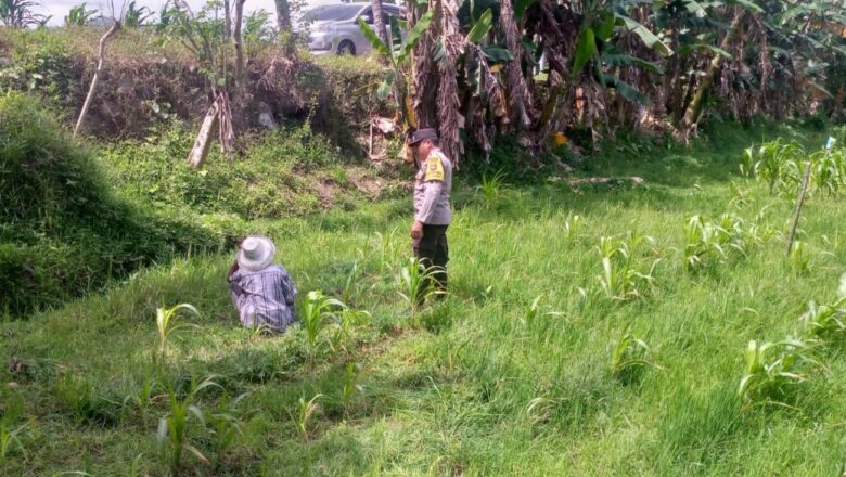 Warga Dasan Geres Pande Antusias Dukung Program Ketahanan Pangan Bersama Bhabinkamtibmas