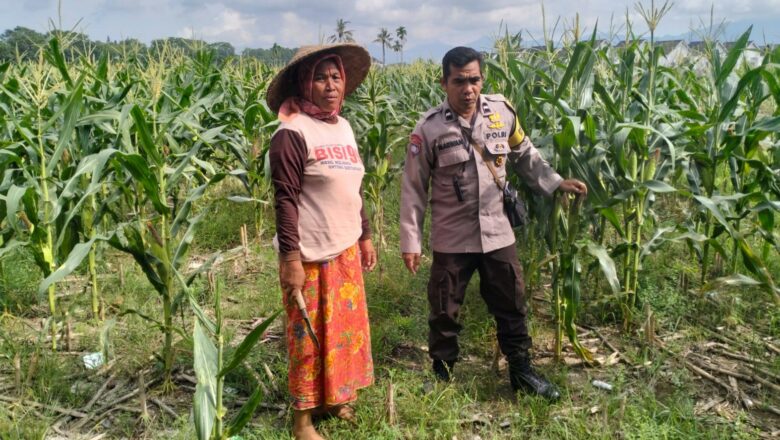 Edukasi Ketahanan Pangan, Polisi Sambangi Warga Karang Kebon Labuapi