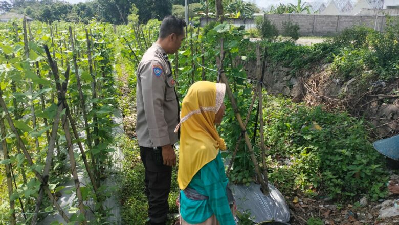 Kunjungan Bhabinkamtibmas di Labuapi: Ajak Warga Tanam Jagung di Lahan Pekarangan