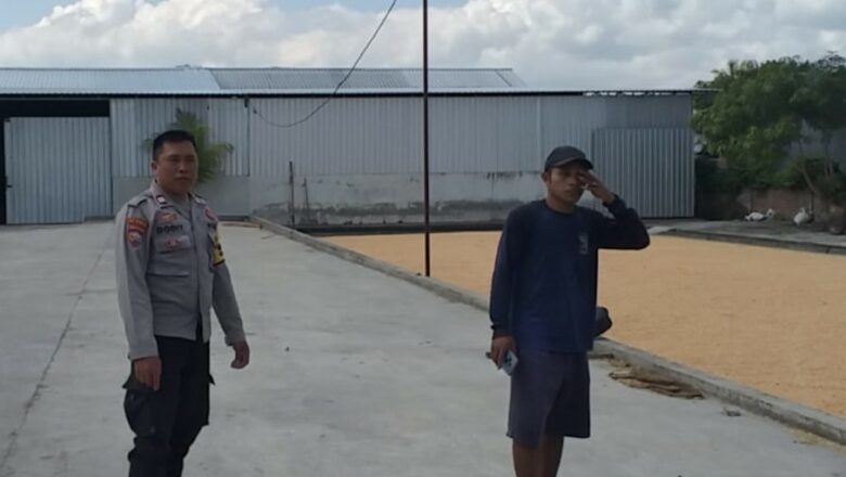 Polsek Kuripan Pantau Gudang Jagung CV Galatia untuk Stabilitas Pangan Lombok Barat