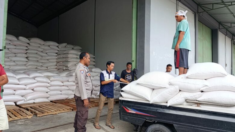 Sinergi Petani Beriuk Tinjal dan Polri: 3,4 Ton Jagung Diserap Bulog di Lombok Barat