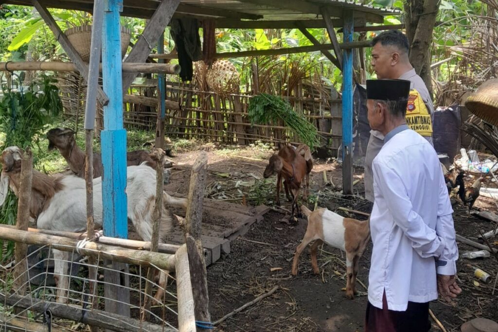 Ketahanan Pangan Desa Senggigi Didukung Inisiatif Bhabinkamtibmas Polsek Batulayar
