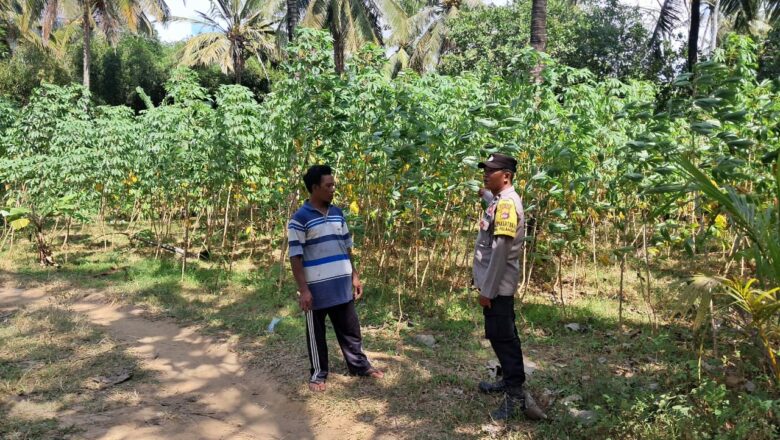 Polri Aktif Dukung Program Pangan Nasional Lewat Gerakan Pekarangan Desa Pelangan