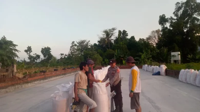 Polsek Kuripan Pastikan Kualitas Jagung Petani Gerung Penuhi Standar Bulog