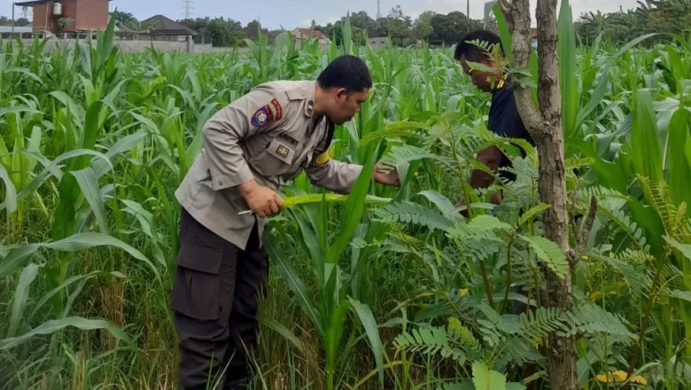 Bhabinkamtibmas Aipda Ahyar Buktikan Polisi Tak Hanya Jaga Keamanan