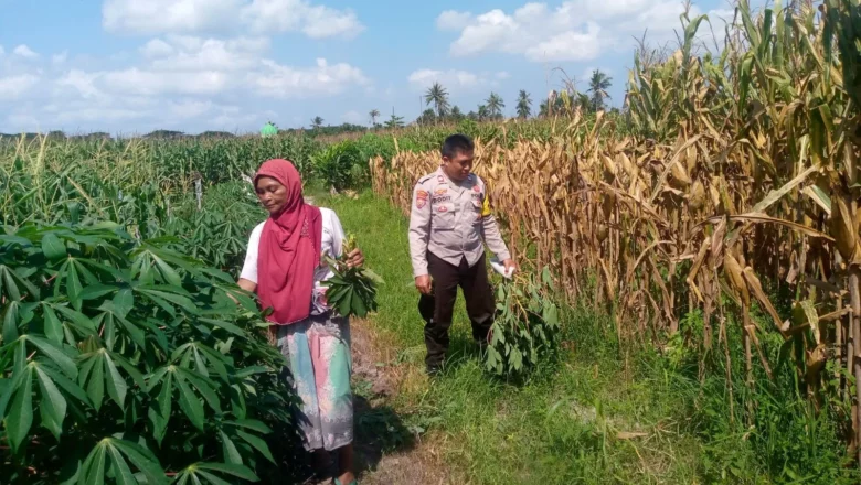Polisi Turun ke Sawah, Wujud Nyata Ketahanan Pangan di Lombok Barat