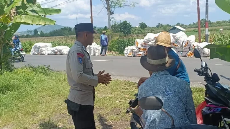 Polri Hadir di Tengah Petani, Panen Jagung di Gerung Berjalan Lancar