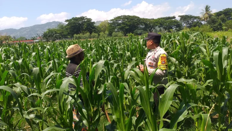 Sinergi Polri dan Petani, Lombok Barat Kuatkan Swasembada Pangan