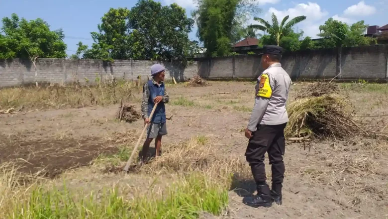 AIPTU Dodit Turun ke Sawah, Dukung Program Ketahanan Pangan Nasional