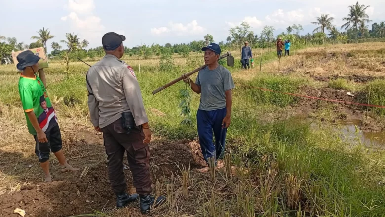 Panen Jagung Manis di Karang Bongkot Dihadiri Bhabinkamtibmas