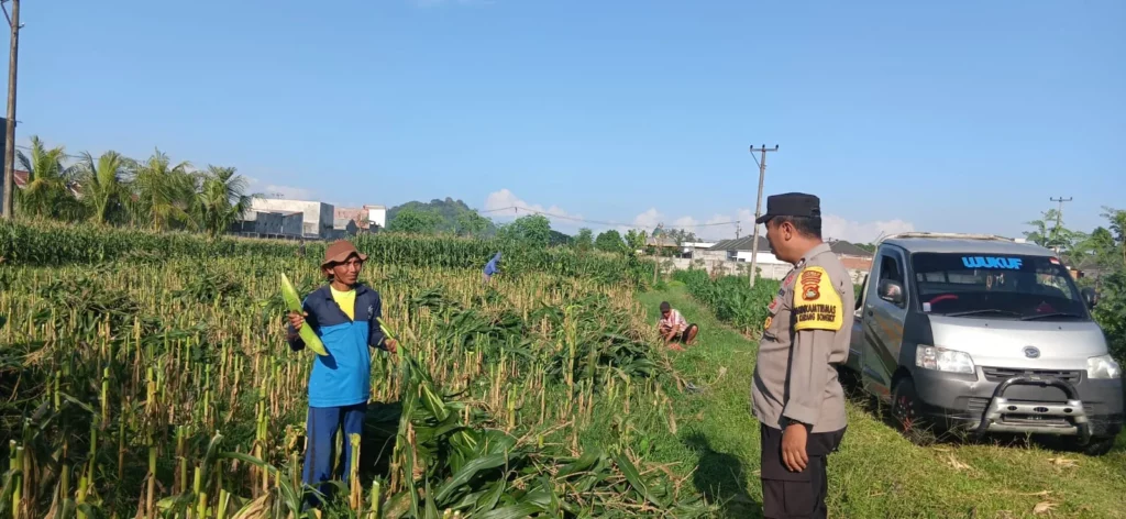 Peran Nyata Bhabinkamtibmas dalam Meningkatkan Kesejahteraan Petani