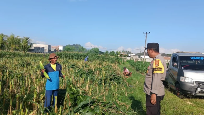 Sinergi Polri dan Dinas Pertanian Bangun Ketahanan Pangan di Lombok Barat