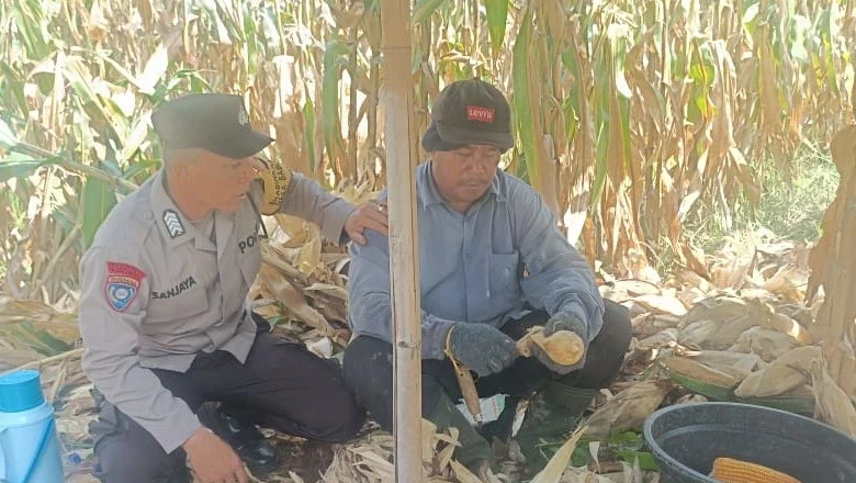Harga Beras di Gerung Masih Stabil, Polres Lobar Turun Cek Lapangan