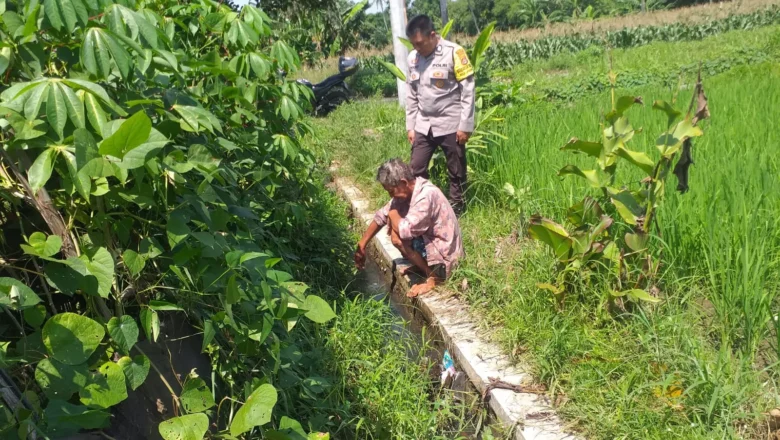 Polri dan Petani Bersatu, Ketahanan Pangan di Kuripan Menguat