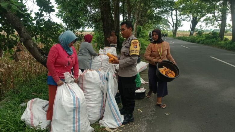 Polri Kawal Panen Jagung di Lombok Barat, Petani Merasa Lebih Tenang