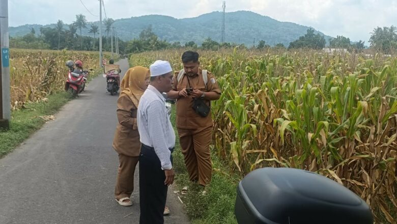 Polsek Gerung Turun ke Sawah, Bukti Nyata Dukung Ketahanan Pangan