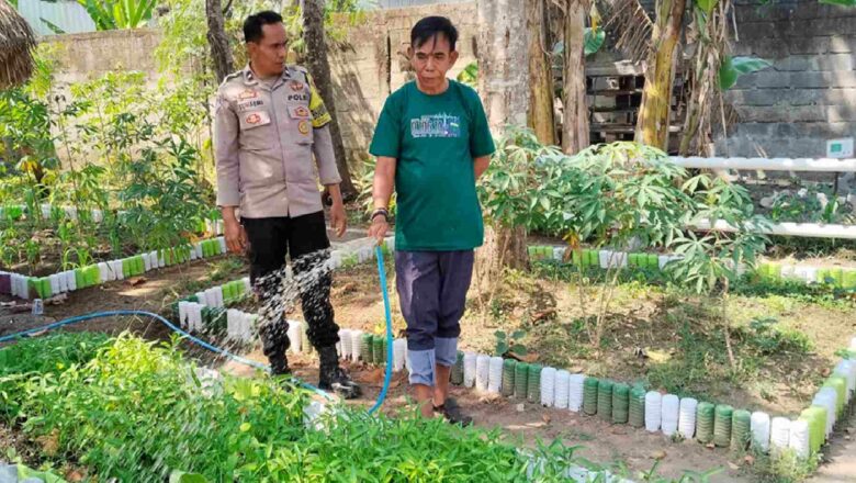 Bhabinkamtibmas Lembar Selatan Turun ke Sawah, Kawal Petani