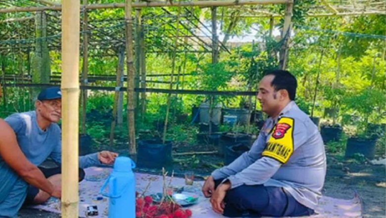 Bhabinkamtibmas Labuapi Dorong Warga Bajur Tanam Sayuran, Jamin Pangan Keluarga