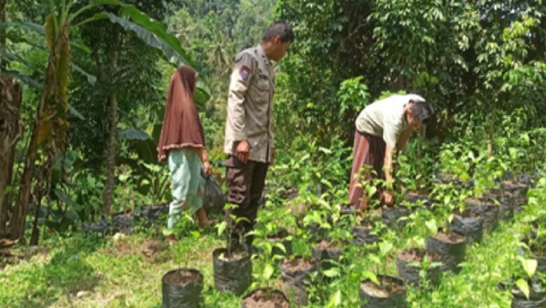 Polsek Batulayar Ajak Warga Manfaatkan Lahan Kosong untuk Pangan