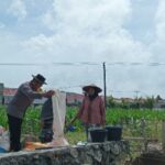 Sinergi Polri dan Warga: Gerakan Mandiri Pangan Dimulai dari Pekarangan Rumah