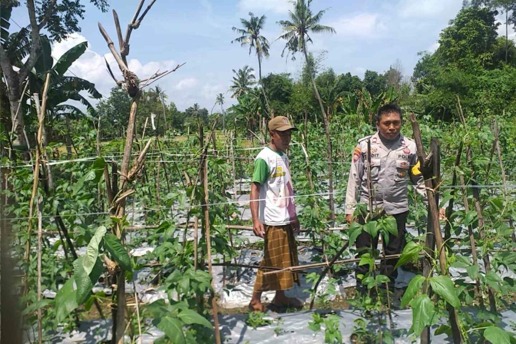 Sinergi Polri-Warga: Pekarangan Rumah Jadi Kunci Mandiri Pangan