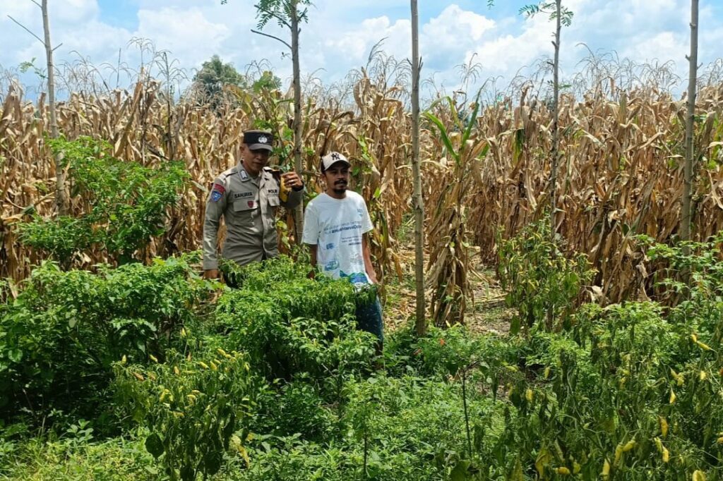 Langkah Praksis Polsek Gerung: Edukasi Pemanfaatan Lahan Kosong
