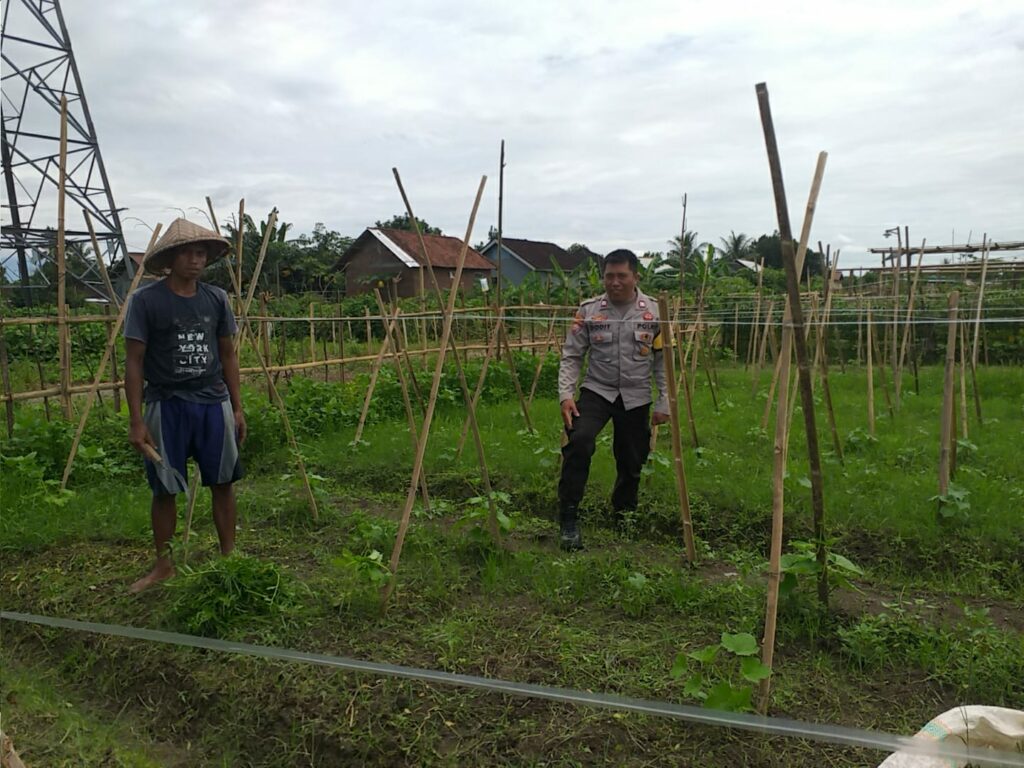 Sinergi Polri dan Petani Jagaraga Wujudkan Kemandirian Pangan