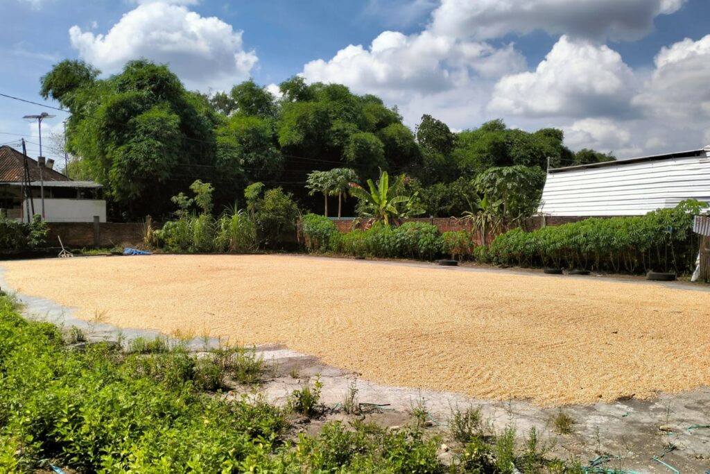 Sinergi Polri dan Bulog: Petani Lombok Barat Kini Lebih Sejahtera