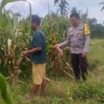 Langkah Humanis Polsek Kuripan Perkuat Ketahanan Pangan Desa