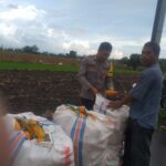 Polsek Kuripan Dukung Program Ketahanan Pangan Nasional di Jagaraga