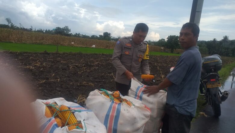 Polsek Kuripan Dukung Program Ketahanan Pangan Nasional di Jagaraga