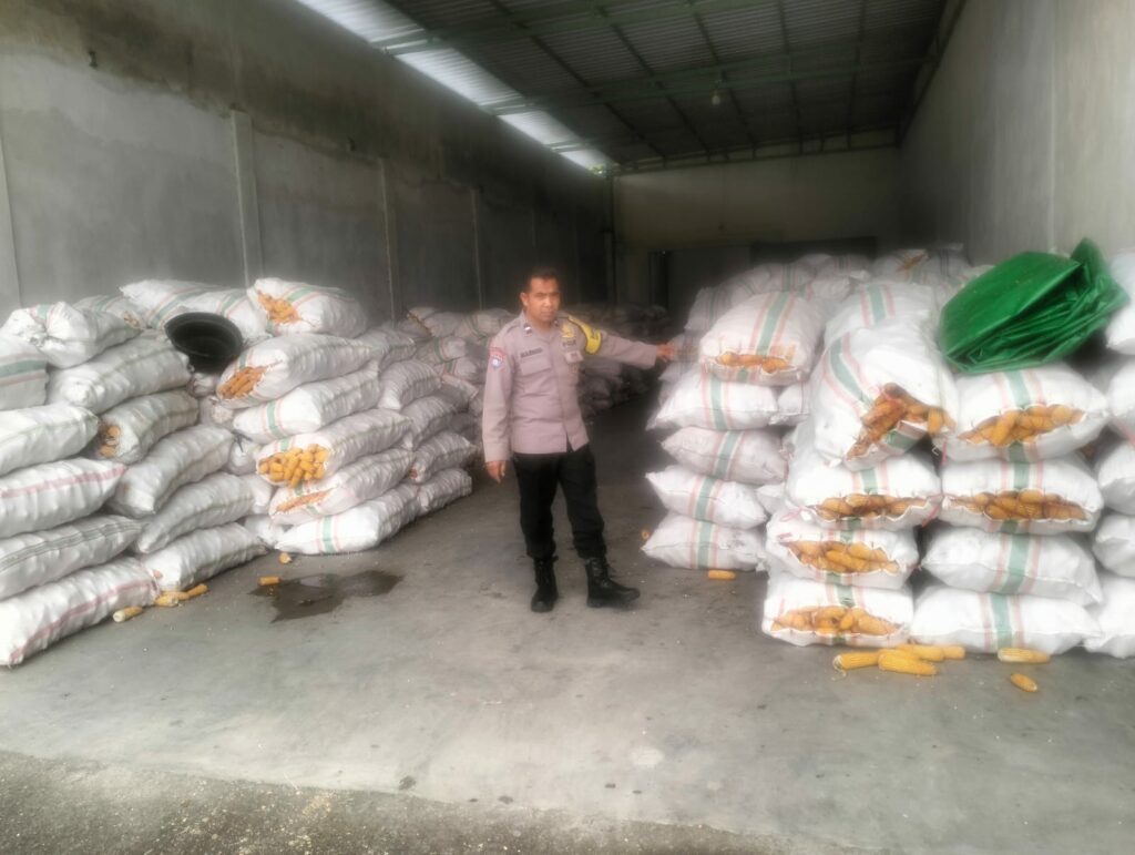 Sinergi Polri dan Bulog Jamin Harga Jual Jagung Petani Lombok Barat