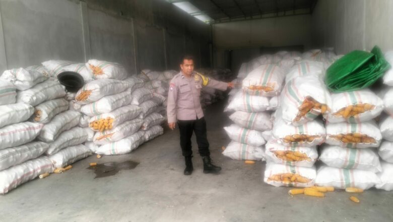 Kawal Ketahanan Pangan, Polsek Labuapi Fasilitasi Jagung ke Bulog