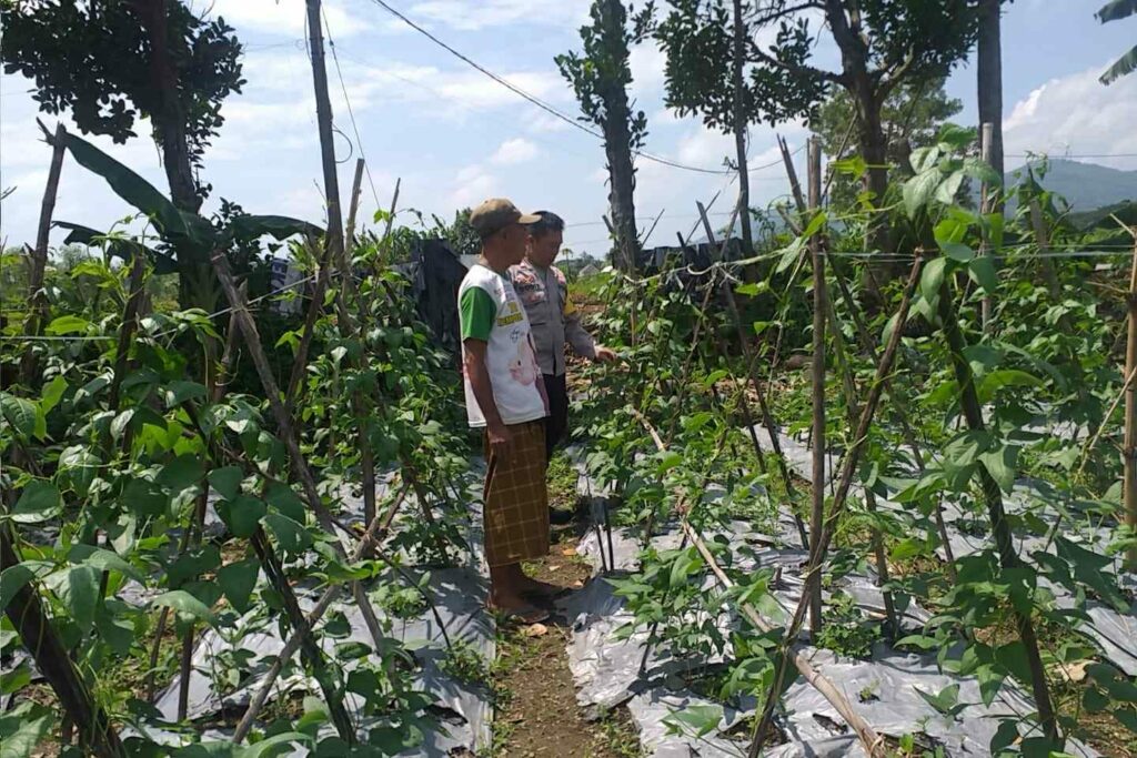 Benteng Pangan Mikro: Bhabinkamtibmas Motivasi Warga Lombok Barat Garap Lahan Produktif